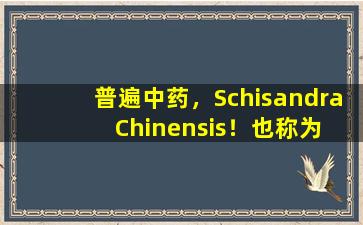 普遍中药，Schisandra  Chinensis！也称为北部五种口味，一种补充五个内部器官的药物，是您不知道的健康宝藏